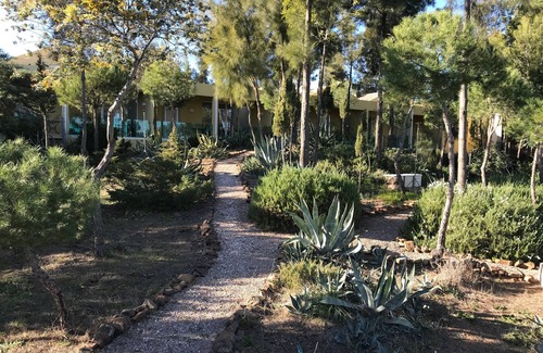 Tavira Apartment | Quinta das Eirinhas-Jardim de Bonsai
