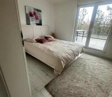 Lingolsheim House | Résidence Foch