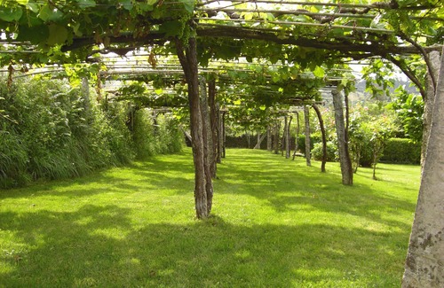 Morana Cottage | Rías Baixas. Admitimos Mascotas. Wiffi Gratis 300mb. Ideal Familias, Gente Mayor