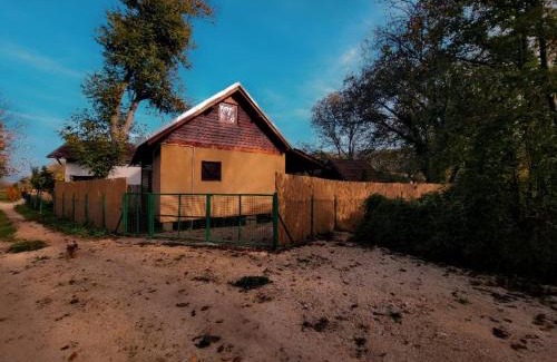 Central Serbia Ski Chalet | Radetov konak