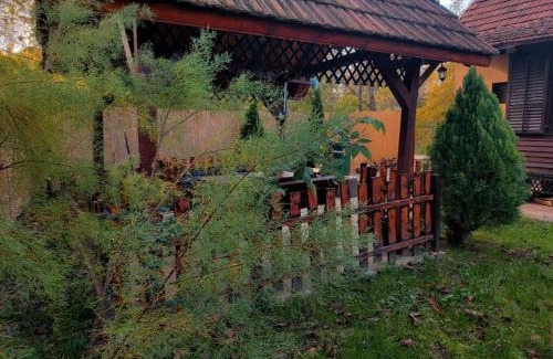 Central Serbia Ski Chalet | Radetov konak