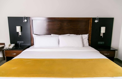 Leon Hotel | Radisson Poliforum Plaza Hotel Leon