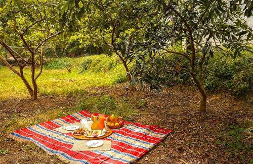 Bhimtal Villa | Rainbow Cottage 3BR Villa Nainital hills Cook