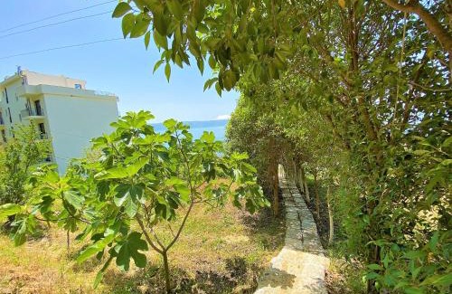 Radhime House | Ramo's Hilltop Retreat with Kitchenette and Patio - 1st