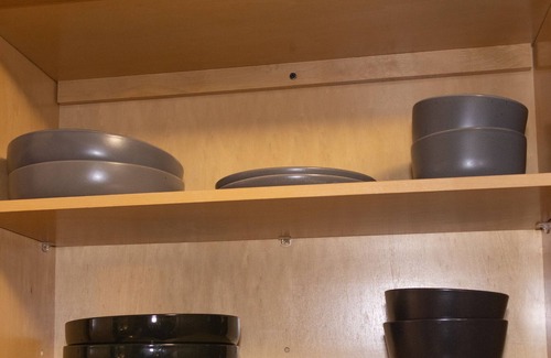 Washington Park Apartment | --Rare Find Renovated 2BR Boston, MA - 1.5 Bath, Condo w/Huge Master Bedroom.