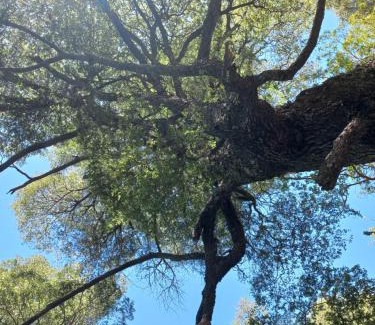 Pinto Bed & Breakfast | Refugio Gaia