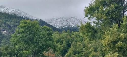 Pinto Bed & Breakfast | Refugio Gaia