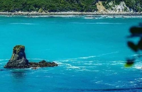 Chepu Apartment | Refugio Pumillahue, Chiloé