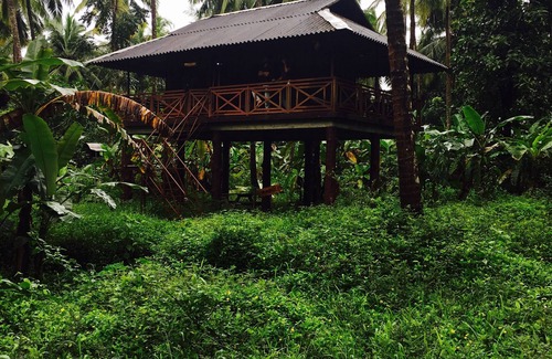 Thalassery Other | Rejuvenate yourself at Rahut Tree House