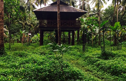 Thalassery Other | Rejuvenate yourself at Rahut Tree House
