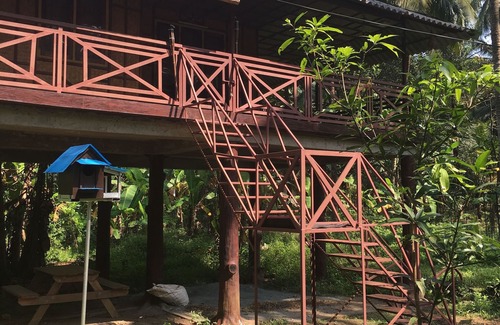 Thalassery Other | Rejuvenate yourself at Rahut Tree House