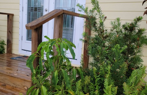 Micco House | Relax by Wabasso Beach-18 min away-your perfect Micco retreat - Summer Specials
