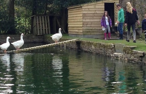 Llanybydder Cottage | Relax in Sunset View Cottage on Cwmiar Farm