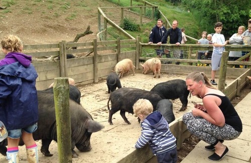 Llanybydder Cottage | Relax in Sunset View Cottage on Cwmiar Farm