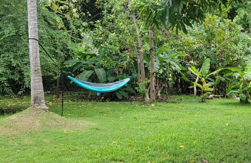 Ceiba House | Relax in your own pool! Sleeps 6, 3 bed, 2 bath 1/2 acre yard, close to ferry.