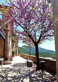 Casperia House | Relax nell' Antico Borgo