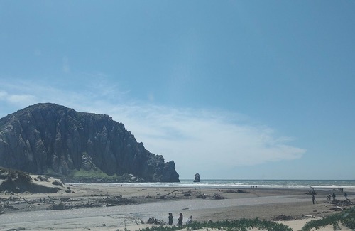 Callender Apartment | Relaxing Beachfront Resort without the Airport Hassle