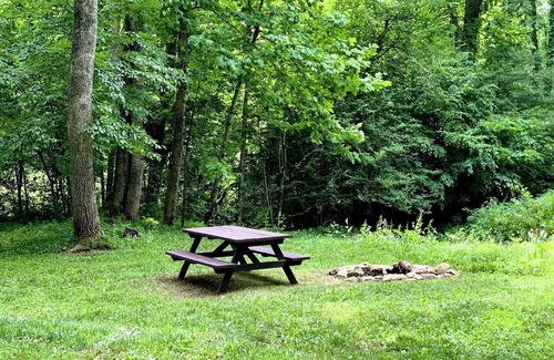 Valley Head Cabin | Relaxing Tiny Cabin with Outdoor Fire Ring in West Virginia