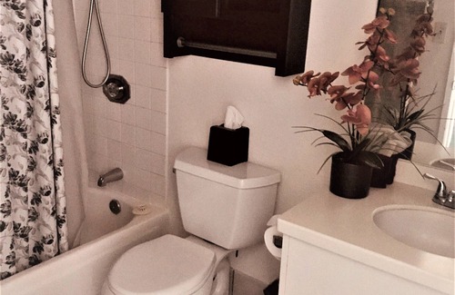 McCully - Moiliili Hotel | Renovated and clean studio in Waikiki for two