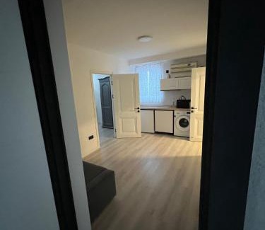 Chisinau Apartment | RentHouse Apart-Hotel Room #4