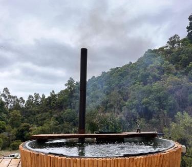 Constitucion Cabin | Reserva los Bollenes