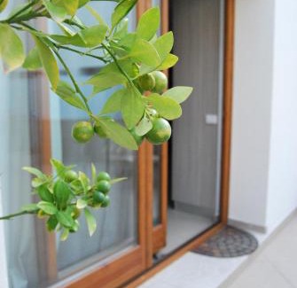 Old Town Apartment | Residence Rapisardi by RECEPTIO