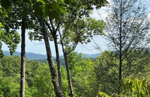 Wears Valley House | Restoration Retreat at Greenbrier cabin