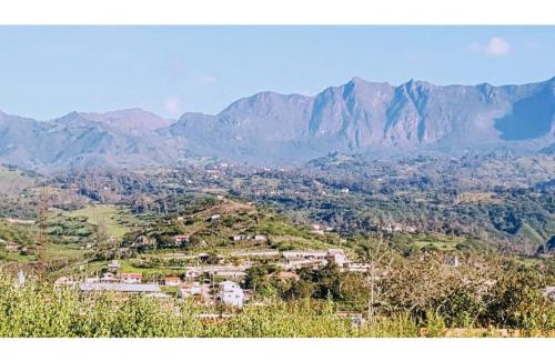 Nabon Cabin | Retreat Villa with Pool, Jacuzzi, and Pet-Friendly Stay