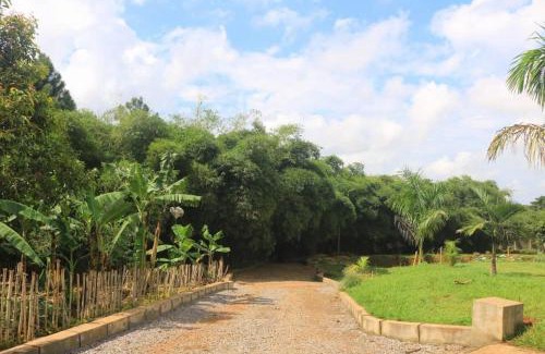 Entebbe Bed & Breakfast | Ridgeway Victoria