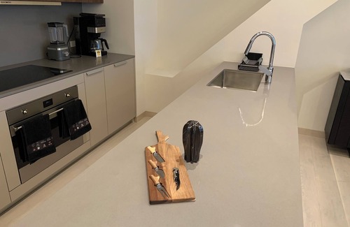 Colonia Cuauhtemoc Apartment | Ritz Carlton Branded Residence