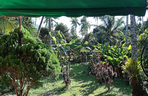 Klong Son House | River Bungalow