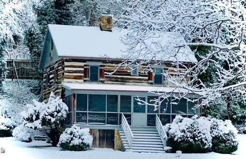 Luray Cabin | Riverfront Cabin! Farm, Fireplaces, Trail & Kayaks