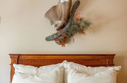 Mount Shasta Cabin | *RIVERFRONT* Mountain Lodge! Near Shasta Ski Park,Shasta Lake & Castle Crags!