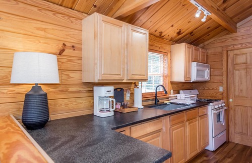 Arden Ski Chalet | Riverfront Vintage Cabin w/ Hot Tub, Full Kitchen