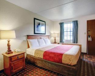 New Braunfels Hotel | Rodeway Inn New Braunfels - San Antonio Area