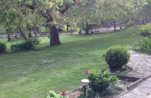 Muritz Apartment | Rohloff, Birgit - Holiday apartment