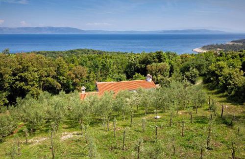 Duga Luka House | Roinizza in Prtlog (Haus für 4-5 Personen)