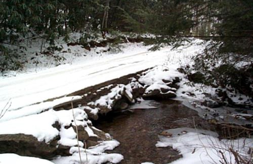 Tellico Plains House | Romantic Log Cabin with Hot Tub near Cherokee National Forest, Tennessee