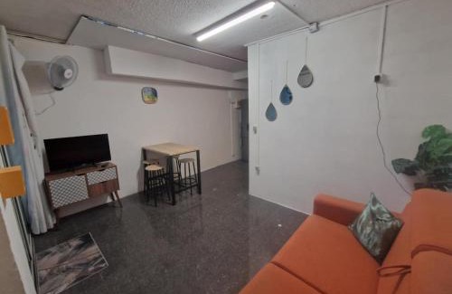 Sainte-Clotilde Centre Apartment | romarin 3