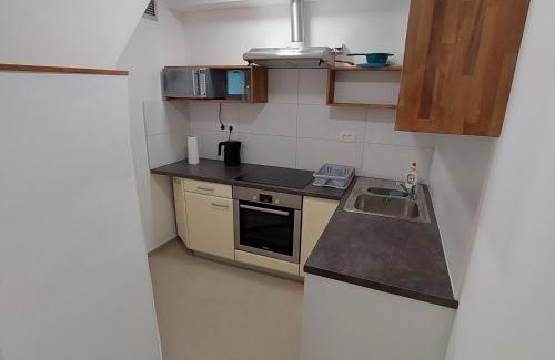 Zagorje ob Savi Apartment | Rookos rooms