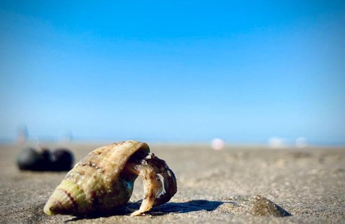 Rhosneigr House | Room 3 - Glan Neigr