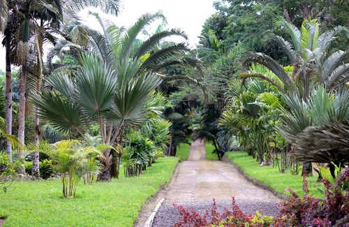 Corales del Sur Apartment | Room-premium Single Room in Corales del