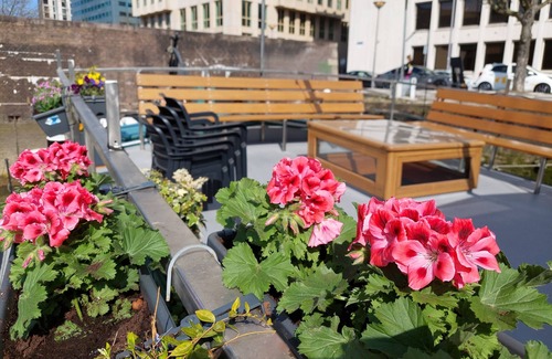 Stadsdriehoek Boat Rental | Rooms on Water