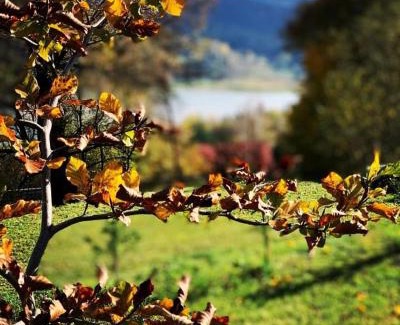 Solina House | RUBIESZCZA domki z kominkiem i widokiem na jezioro