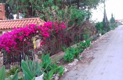 Camarles House | RURAL COMPLEX MASIA DEL TREMENDO WITH OUTDOOR POOL