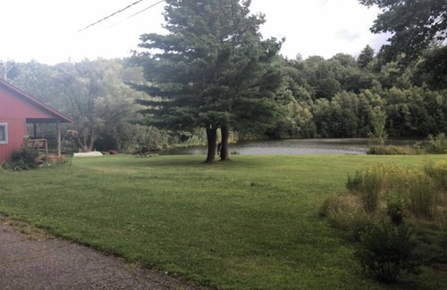 Winsted Cabin | Rustic escape on a pond with 7 acres in Colebrook, CT!