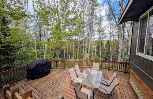 Sayner Cabin | Rustic Fawn | Fireplace, AC, Lake Access w/Dock, Dogs OK w/fee