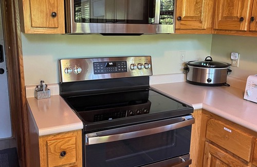 Speedwell Cabin | Rustic Lakefront Cabin with private double-deck dock, slide, hot tub, more!