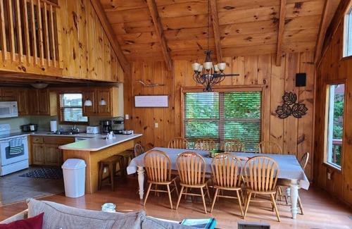 Speedwell Cabin | Rustic Lakefront Cabin with private double-deck dock, slide, hot tub, more!