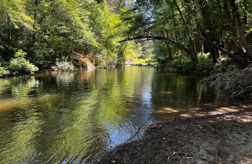 Shelter Cove House | Rustic River Retreat